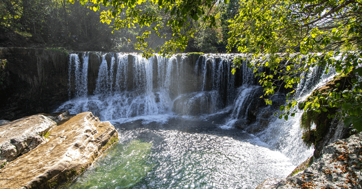 Pasco County Commission Candidate Warns of Looming Water Crisis