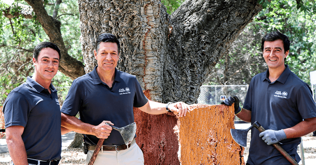 Cork Supply Revives Cork Harvesting Events at Cal Poly and UC Davis, Launches Scholarship Program to Portugal