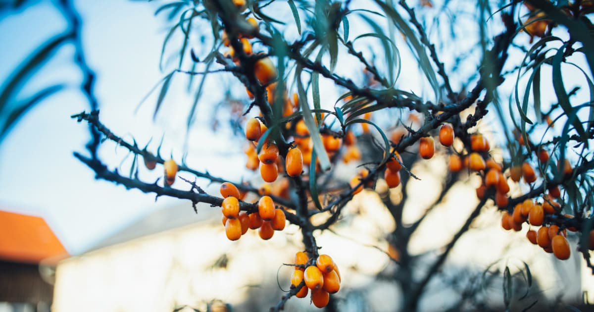 UroLux Concierge™ Opens Specialized Center for Menopausal Women During Holiday Season