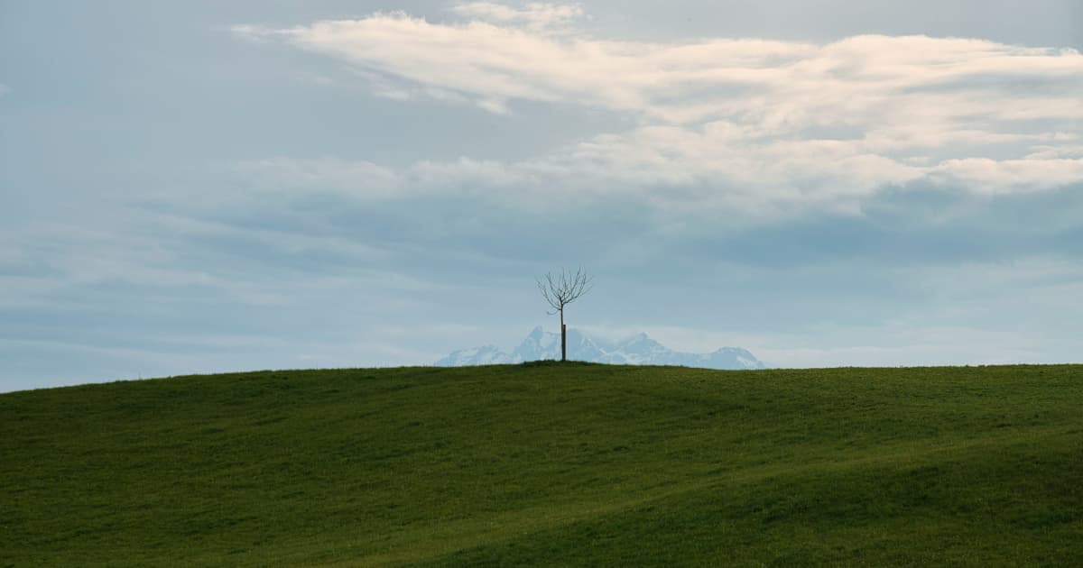 One World Products Delivers First Hemp-Based Reusable Containers for Automotive Industry