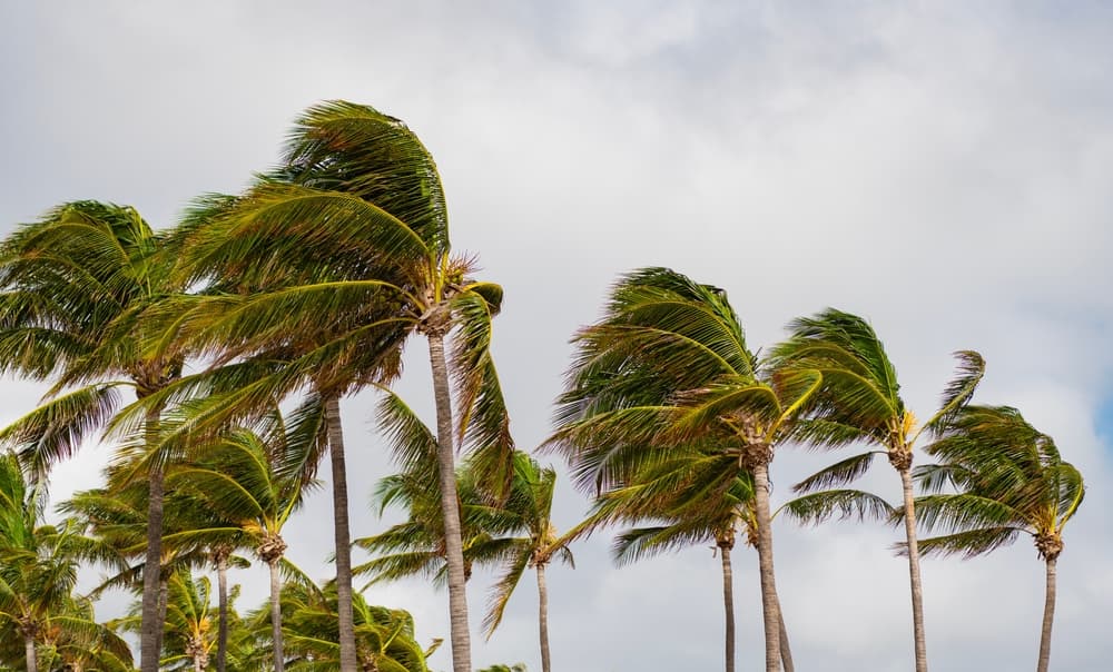 Commercial Real Estate Underwriting Ignores Disaster Risk, Says RiskFootprint Founder