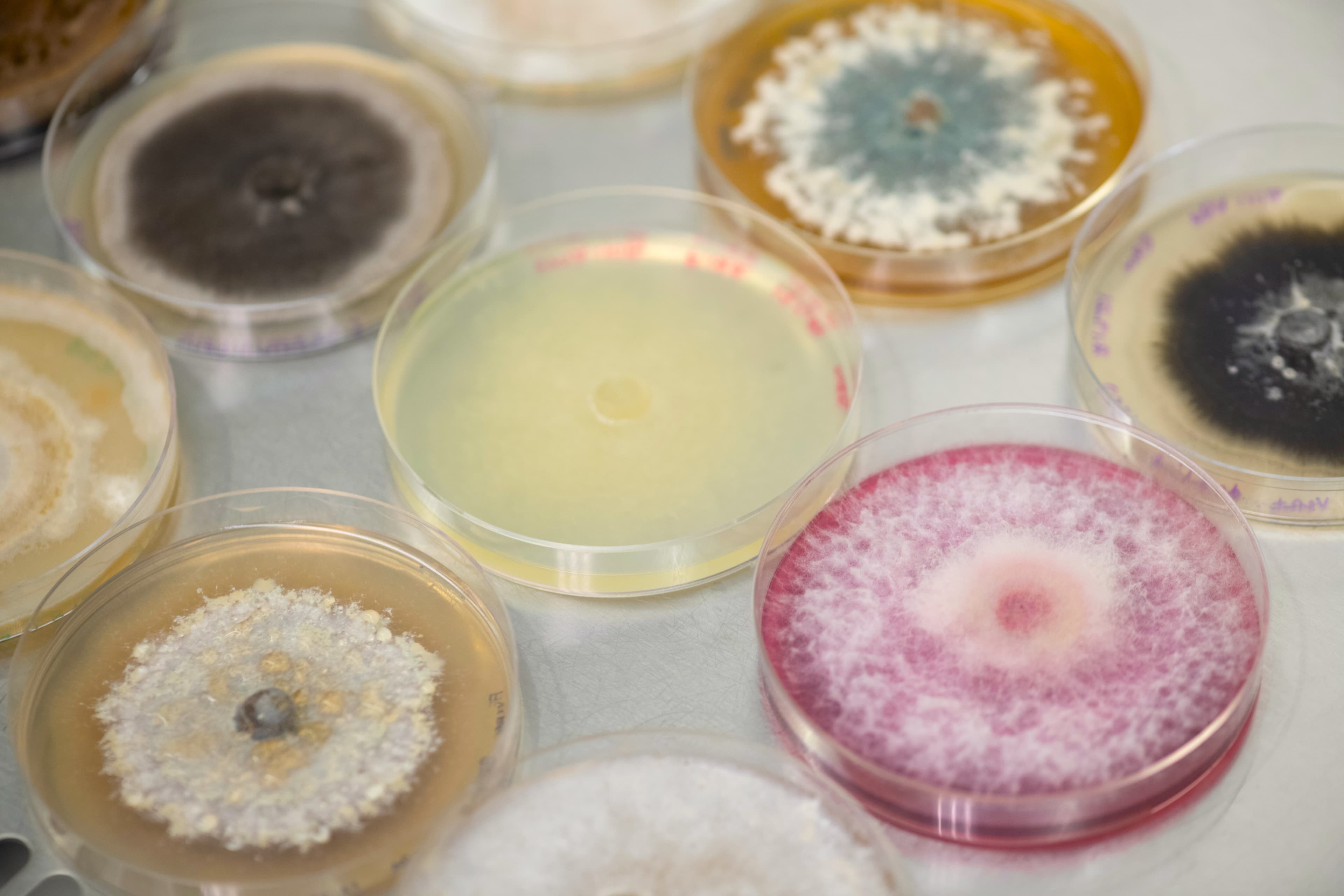 Jord BioScience Raises Series B Funding to Accelerate Agricultural Microbial Innovation