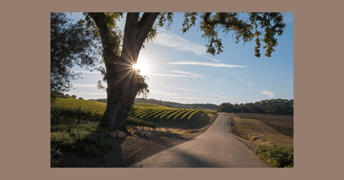 Santa Rosa Attorney Andrew Conway Receives 2025 Super Lawyers Rising Stars Award