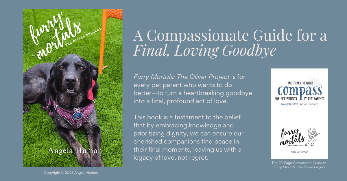 New Book 'Furry Mortals: The Oliver Project' Addresses Pet End-of-Life Challenges with Practical Guidance and Shared Stories