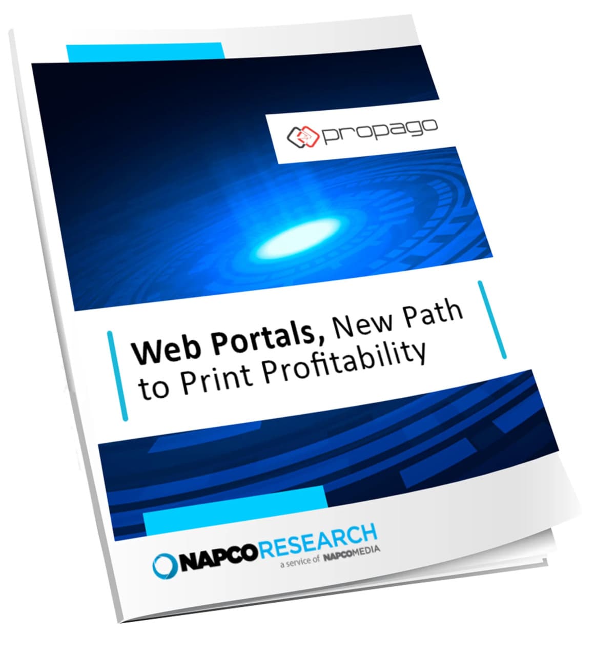 NAPCO Study Finds 93% of Printers Gain Sales via Custom Web Portals