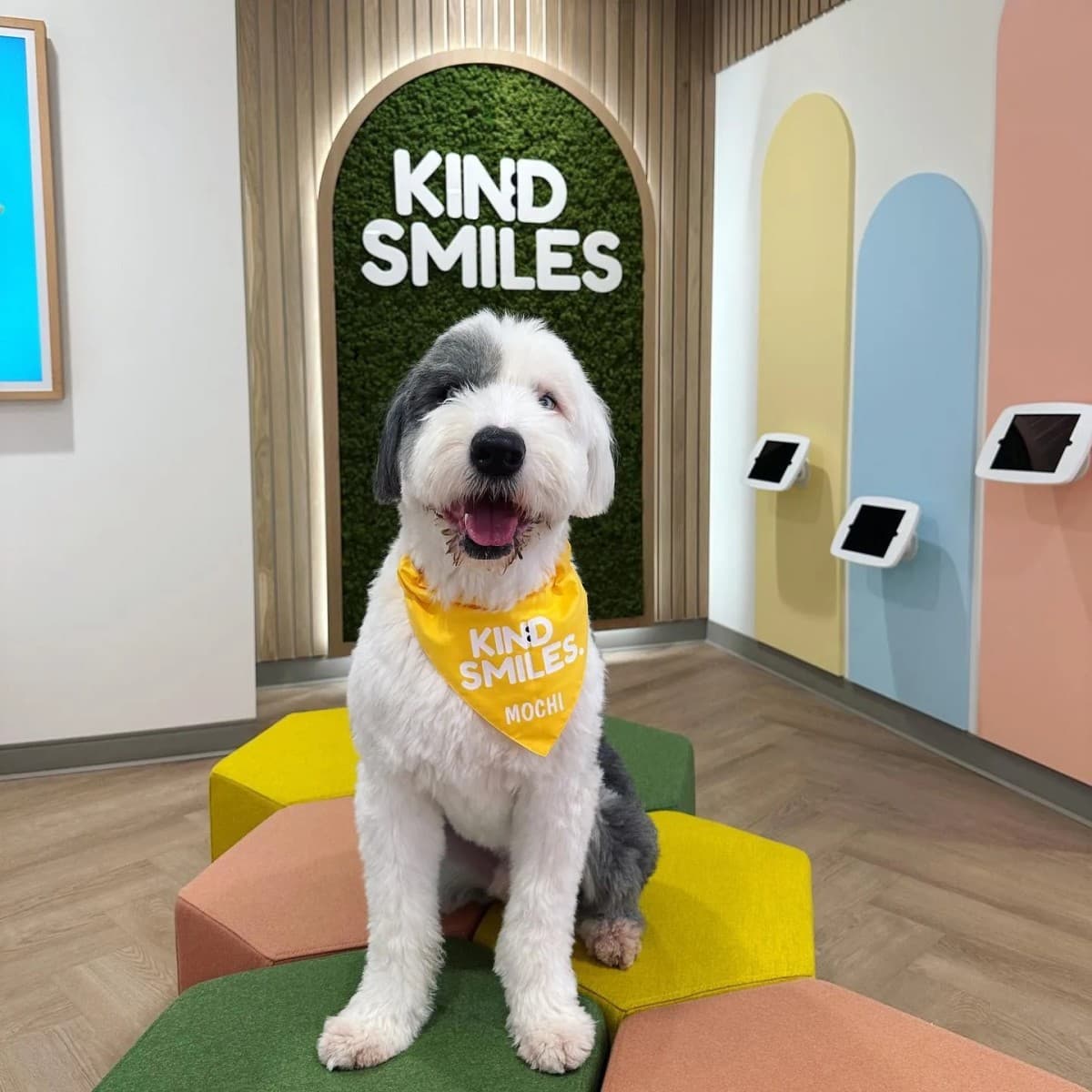 Kind Smiles Orthodontics Publishes Guide to Help Families Compare Orthodontic Providers Amid Rising Demand