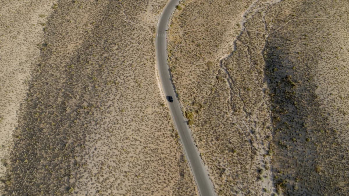 Whisenhunt Media's AI-First Transformation Signals Industry Shift