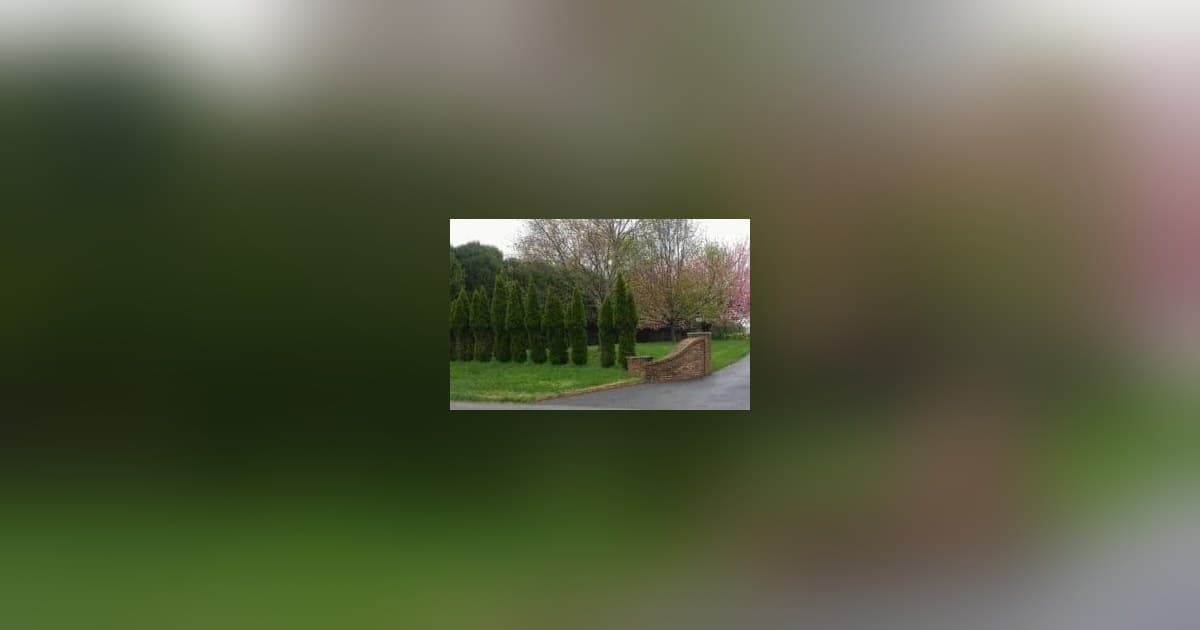 Deer Mating Season Brings Heightened Risks for Tennessee Drivers and Landscapers