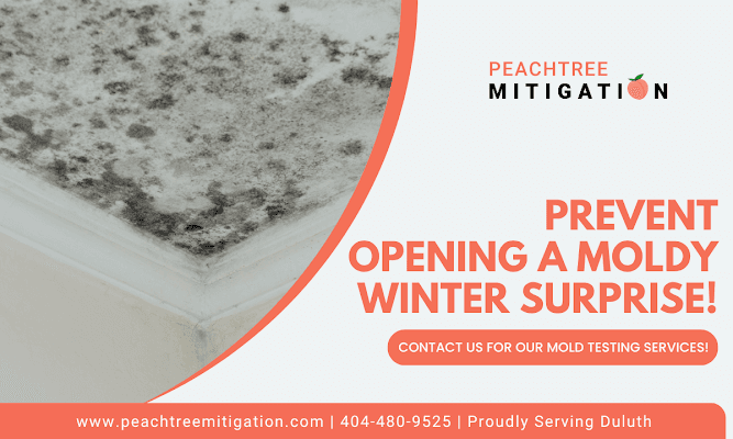 Hidden Mold Poses Health and Structural Risks in Duluth's Humid Climate