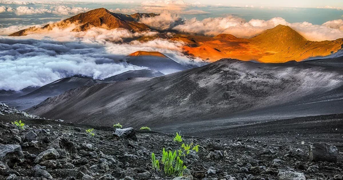 This Week Hawaii Marks 60 Years with Hybrid Media Expansion and Digital Tracking Tools