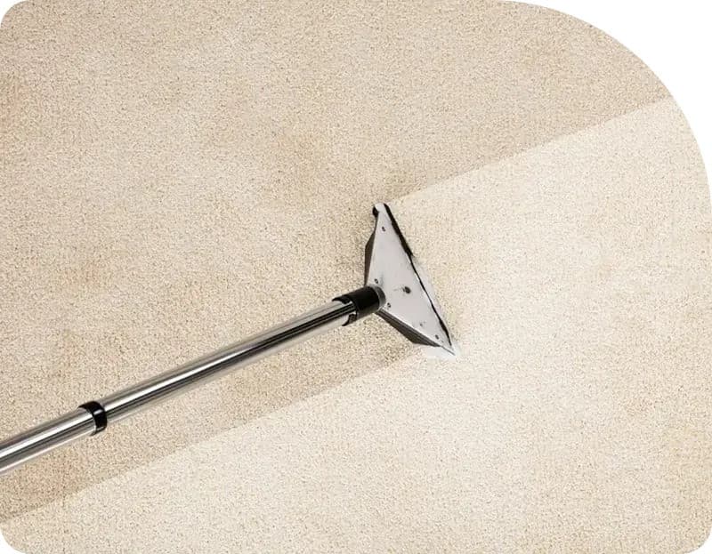 Flood Squad's Technological Innovations Transform Sydney Water Damage Restoration Industry