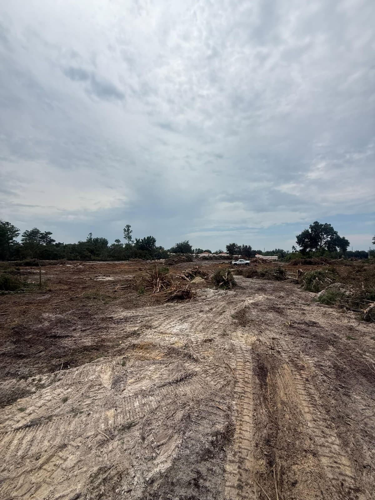 New Guide Helps Property Owners Navigate Land Clearing Costs and Services
