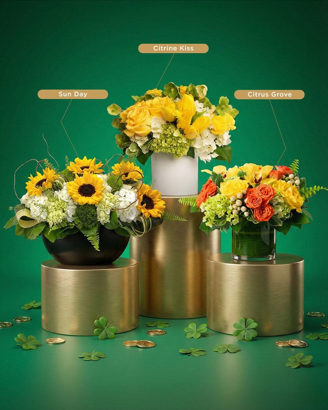 Juno Beach Florist Launches Signature Orchid Collection for Coastal Community