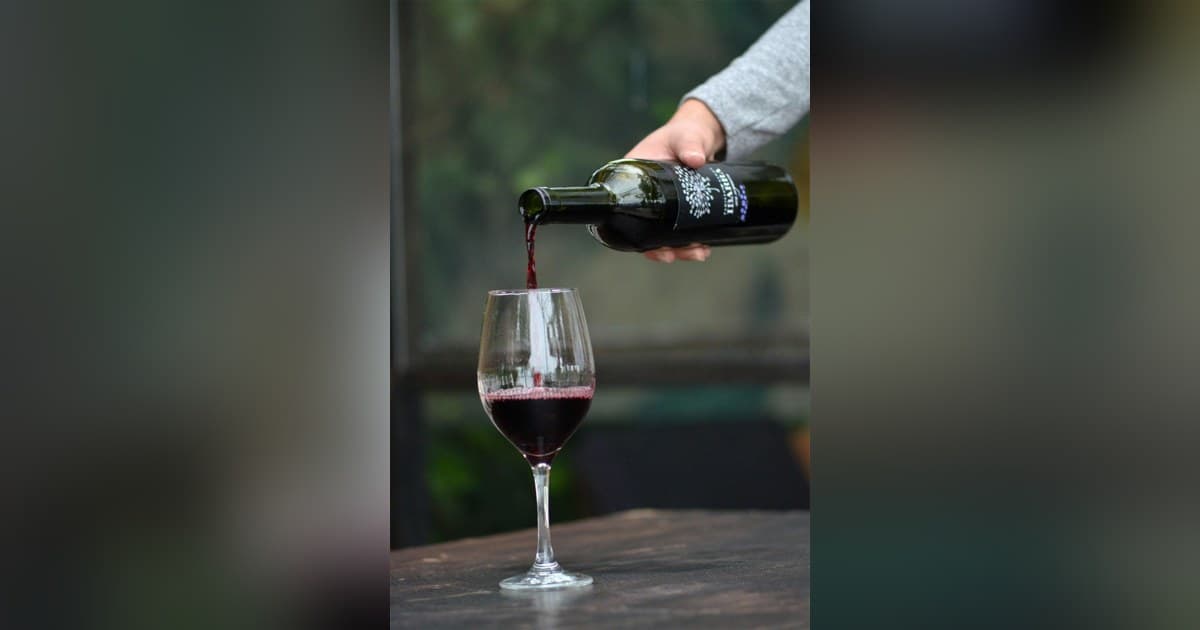 10Musica Releases Updated Guide on Wine Calories by Type and Serving Size