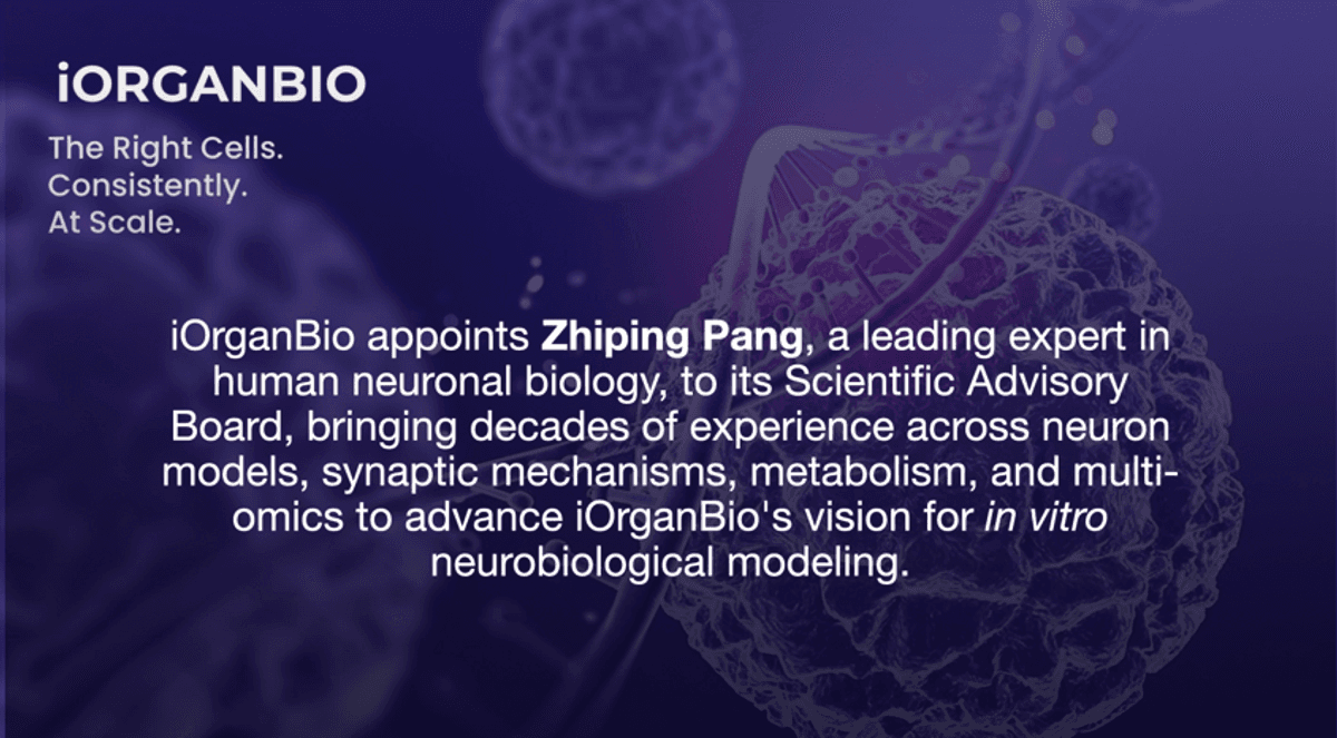iOrganBio Appoints Neurobiology Expert Zhiping Pang to Scientific Advisory Board