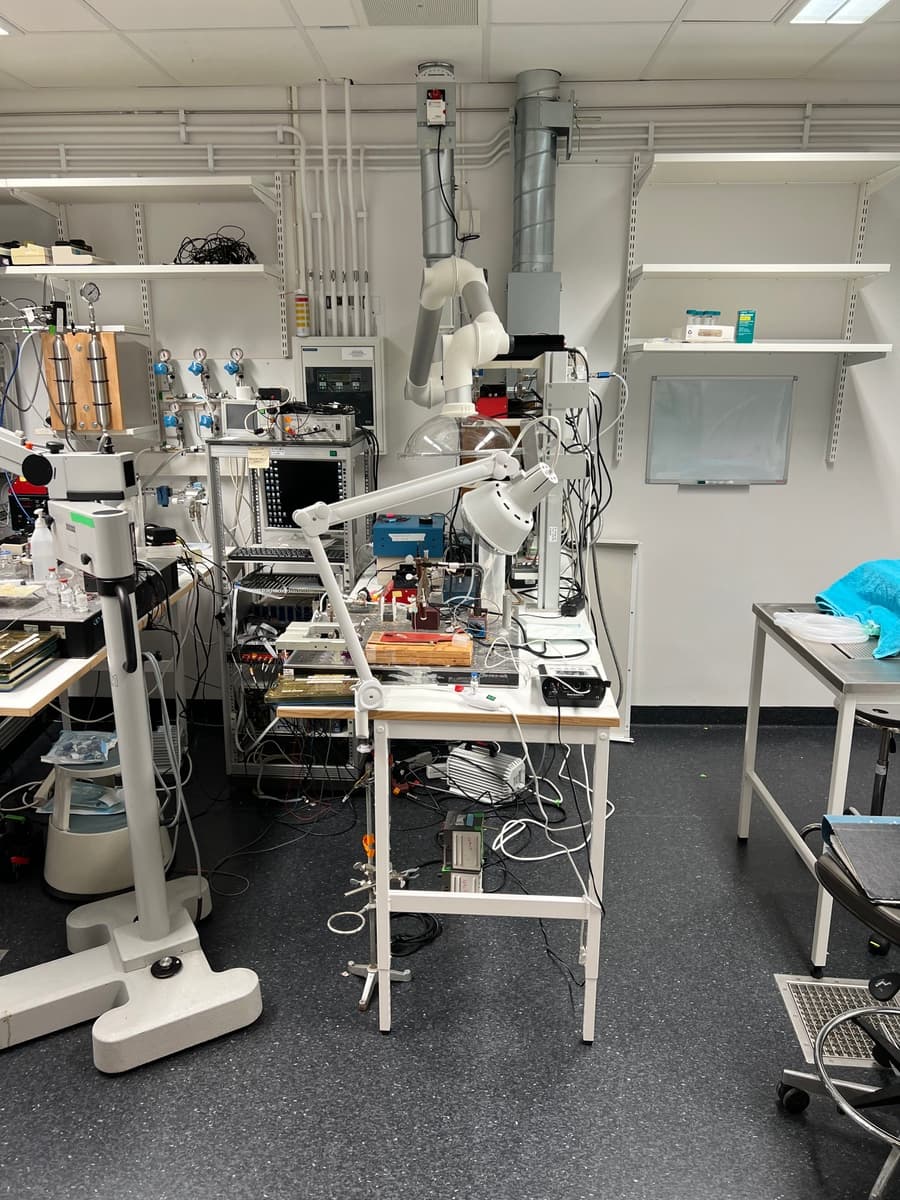 Study Shows Multiple Doses of Extracellular Vesicles Could Reduce Lung Injury in Mechanically Ventilated Patients