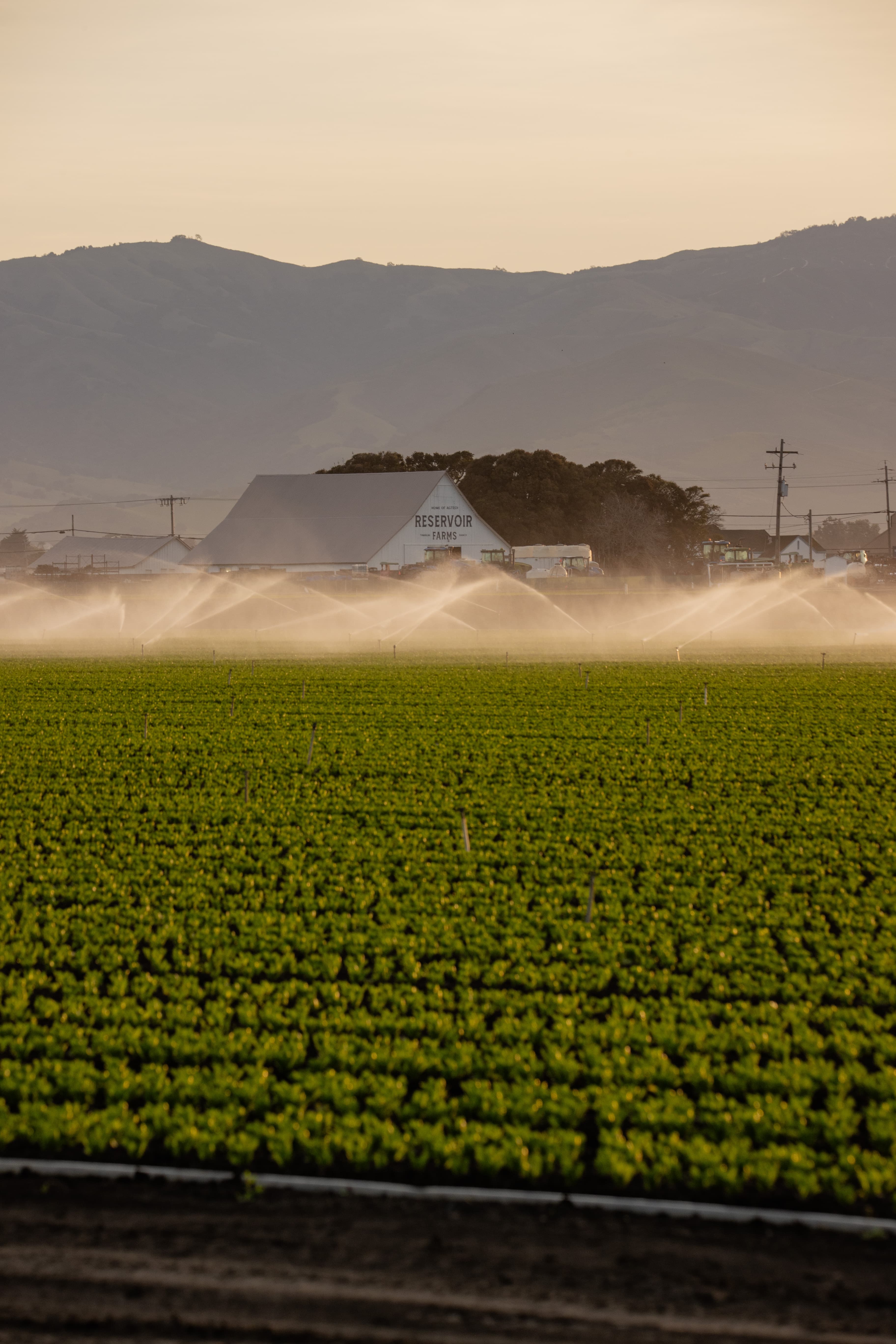 Reservoir Opens Farms to Accelerate AgTech Innovation with Free Associate Tier