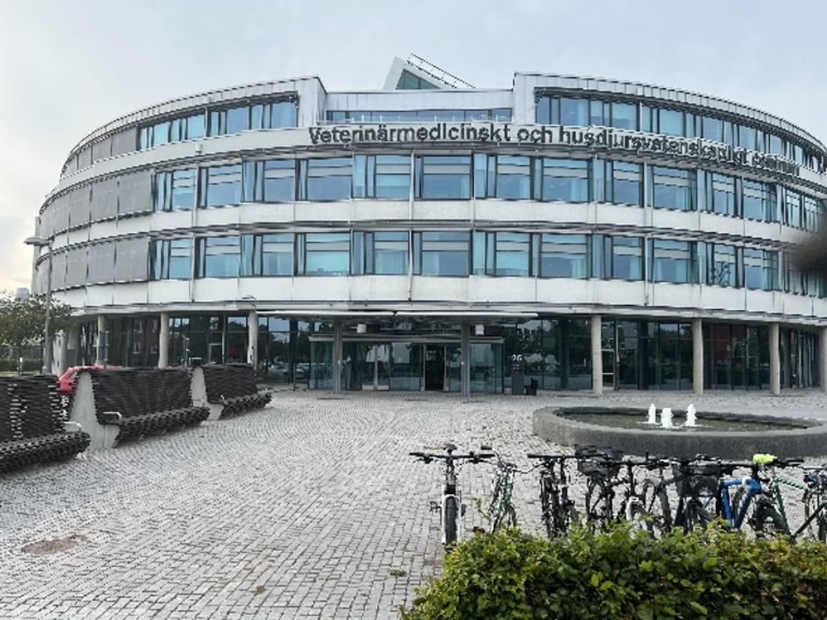 LEKSUM and SLU Forge Partnership to Pioneer Muscle Research in Unique ICU Lab