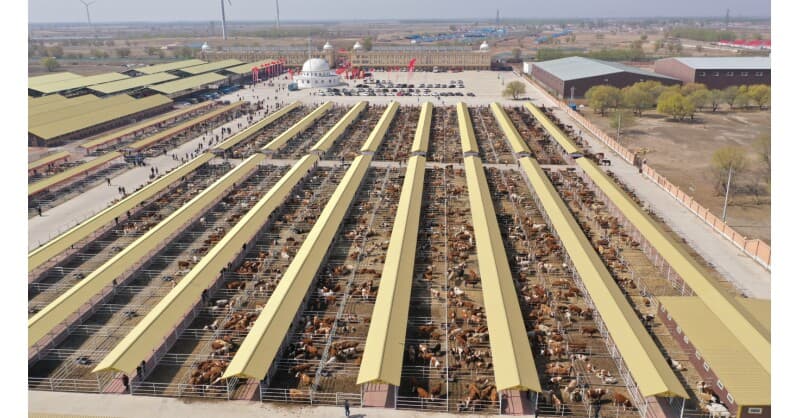 Hinggan League Showcases Green Agriculture and Cultural Tourism at Beijing Carnival