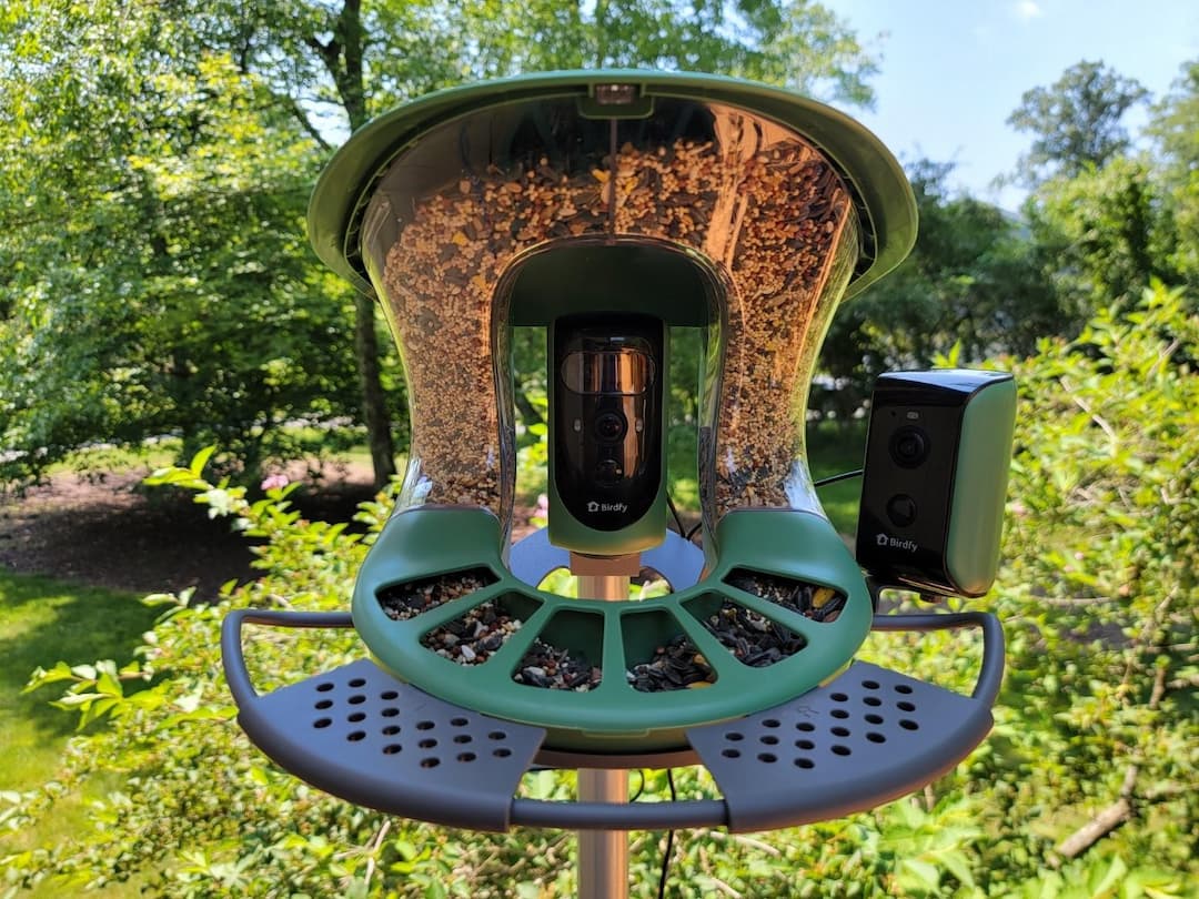 New Smart Bird Feeder Enhances Birdwatching Experience with Advanced Technology