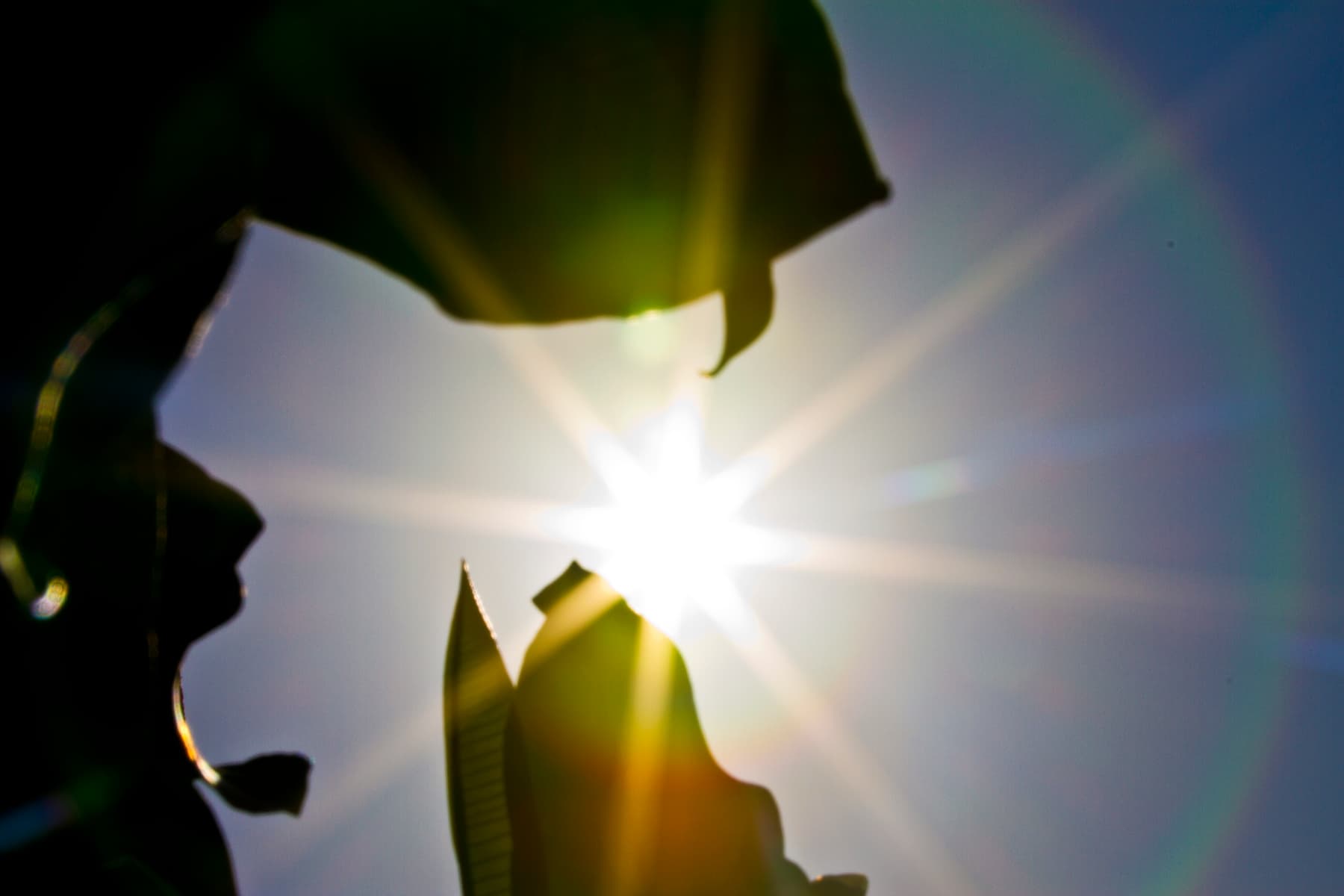 Extreme Heat Linked to Increased Risk of Irregular Heartbeat in Patients with Implanted Defibrillators