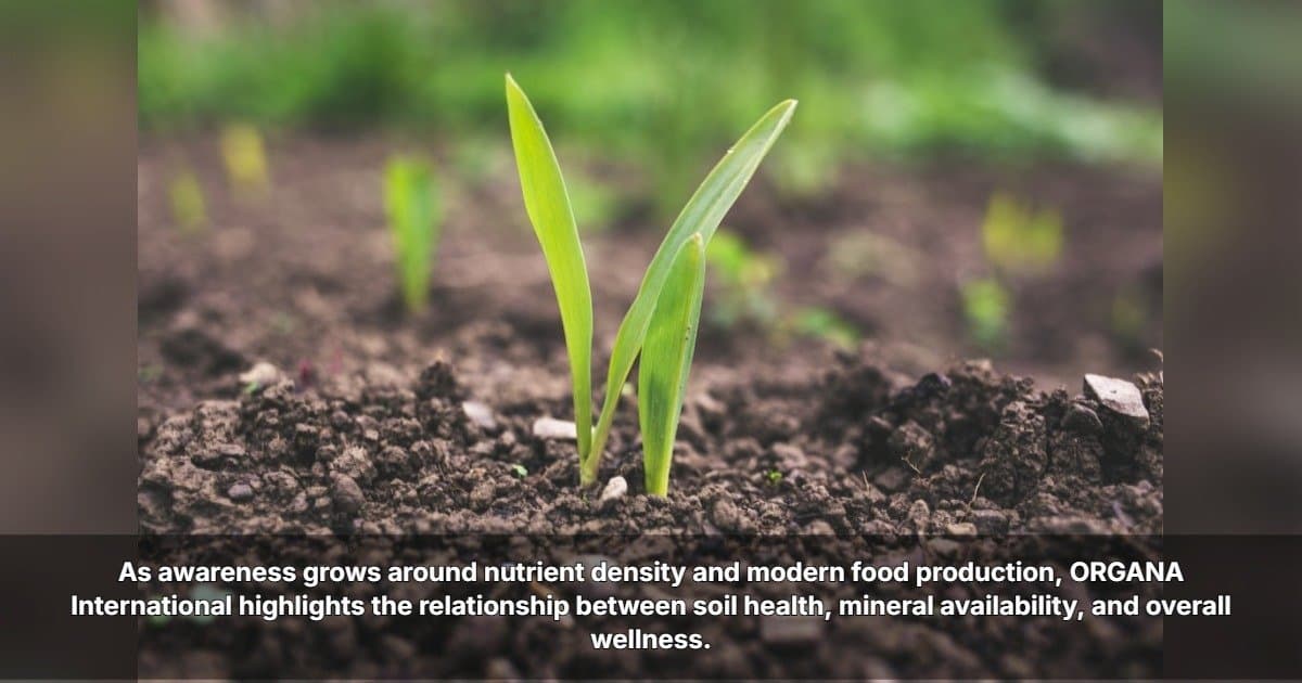 Soil Health Linked to Human Nutrition, ORGANA International Highlights