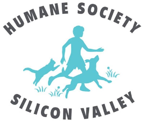 Humane Society Silicon Valley Joins National 'Clear the Shelters' Initiative to Promote Pet Adoption
