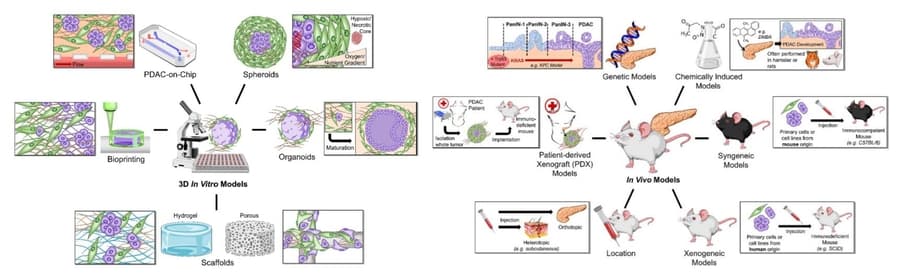 Alfa Cytology Launches Cancer Diagnostic Biomarker Development Services to Advance Personalized Cancer Treatment