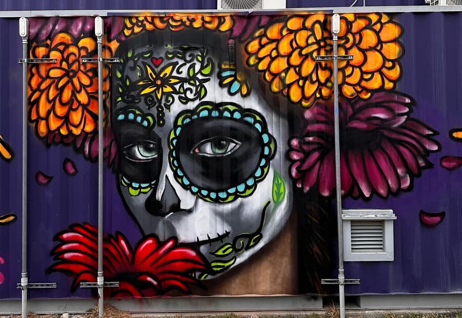 Fort Worth Design District Enhances Visitor Experience with Local Artist's Murals