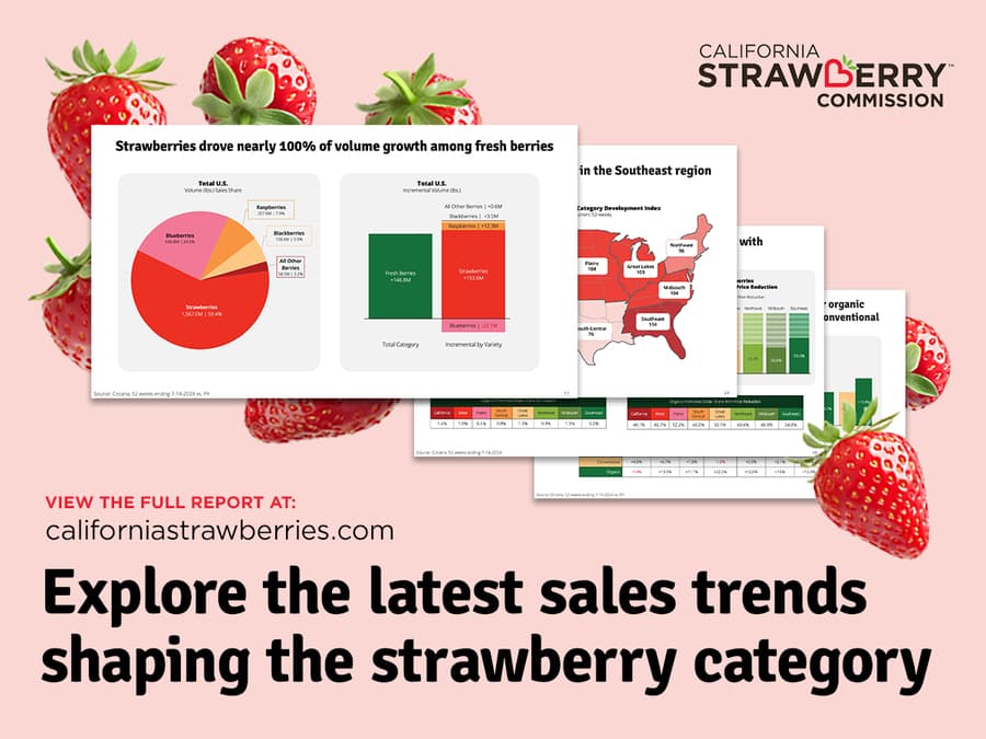 California Strawberry Industry Sees Significant Growth and Promotional Success in 2024