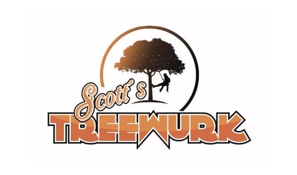 Treewurk Expands Professional Tree Services to Sandy Springs, GA