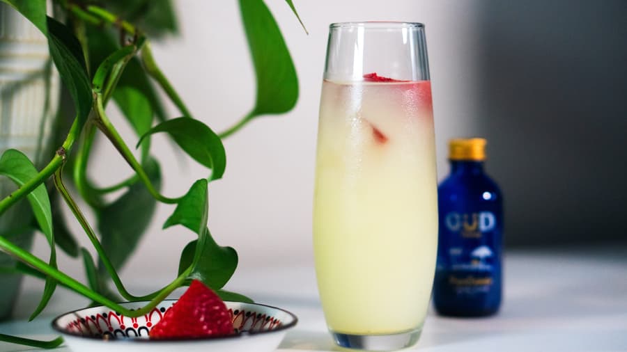 GÜD Tonics Introduces Alcohol-Free Alternative for Holiday Celebrations