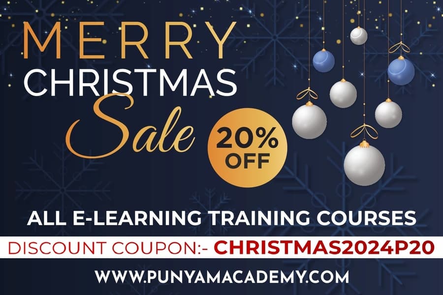 Punyam Academy Offers 20% Christmas Discount on E-Learning Courses