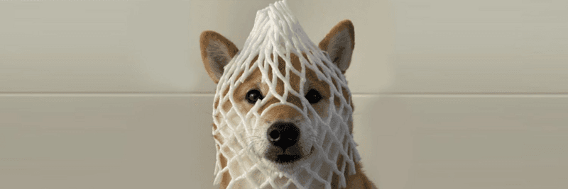 Wrapped Dog ($wDOG) Launches on Solana, Pioneers Pure Decentralized Model