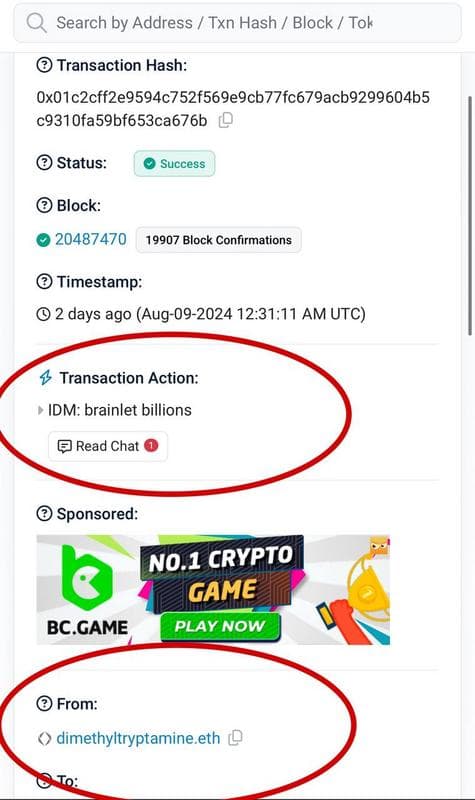 Whale Wallet Sparks Excitement Over BRAINLET: The New Memecoin on Solana