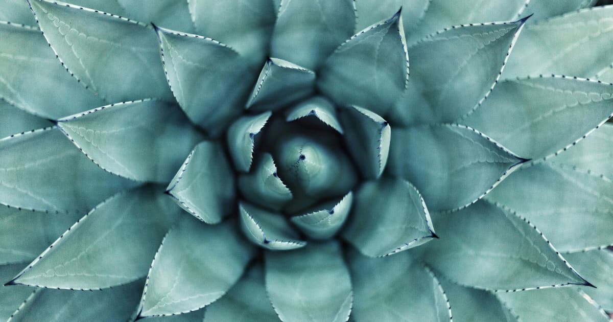 Coach Doris Launches Online Course to Facilitate Dialogue with Subconscious Mind