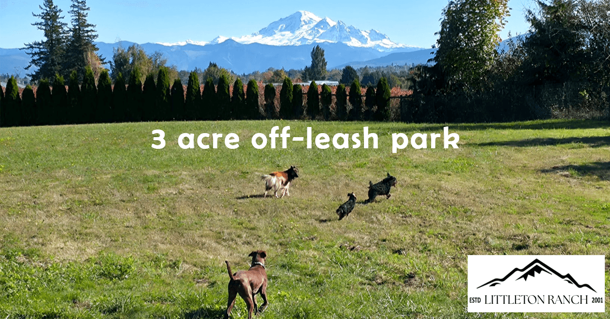 Littleton Ranch Transforms from Breeding Facility to Rescue Resource Ranch to Address Canine Crisis