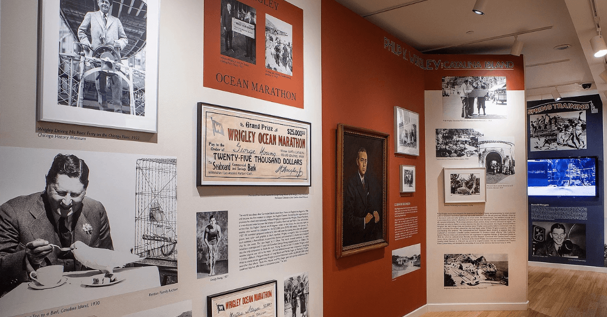 Catalina Museum Hosts End of Summer Fundraiser to Honor Local Veterinarian and Support Art and History Preservation