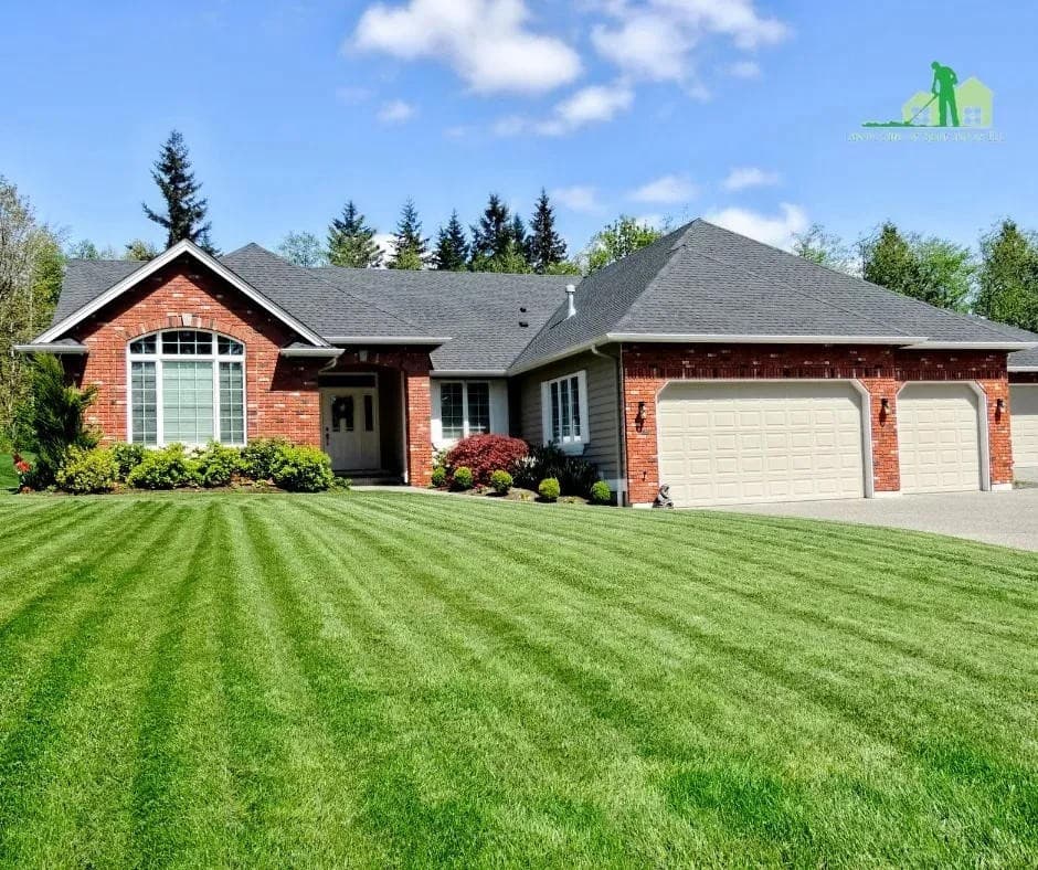 Lawn Care of Saint Johns Introduces Pet-Safe Lawn Treatment Options