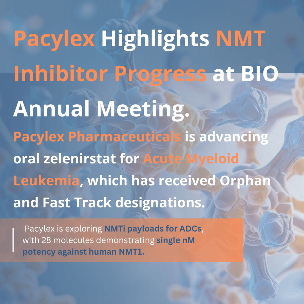 Pacylex Pharmaceuticals Showcases Breakthrough NMT Inhibitors at BIO Annual Meeting