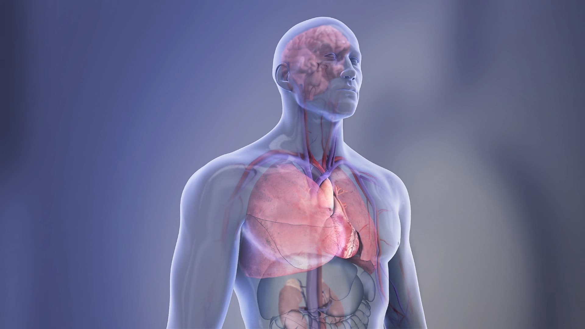 Study Predicts Significantly Earlier Onset of Heart Disease Risk for People with CKM Syndrome