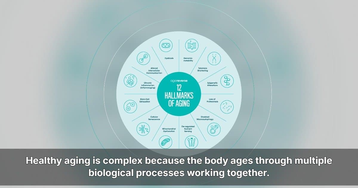 AgeReverse Announces U.S. Expansion With Comprehensive Longevity Supplement